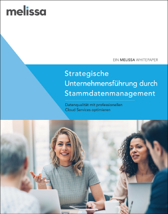 Whitepaper: Strategische Unternehmensführung durch Stammdatenmanagement