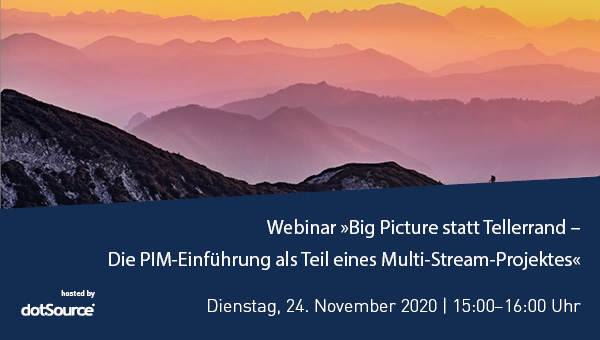 Webinar dotSource Multi-Stream-Projekte