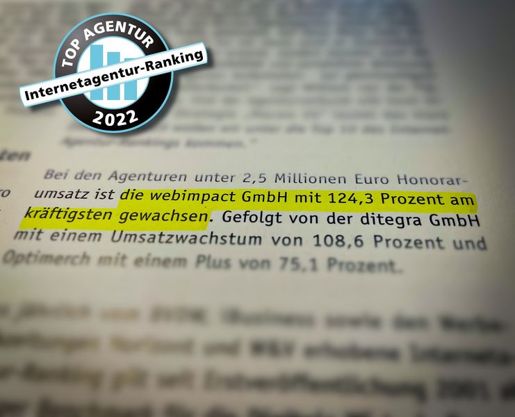 Auszug aus dem Bericht zum Internetagenturenranking 2022